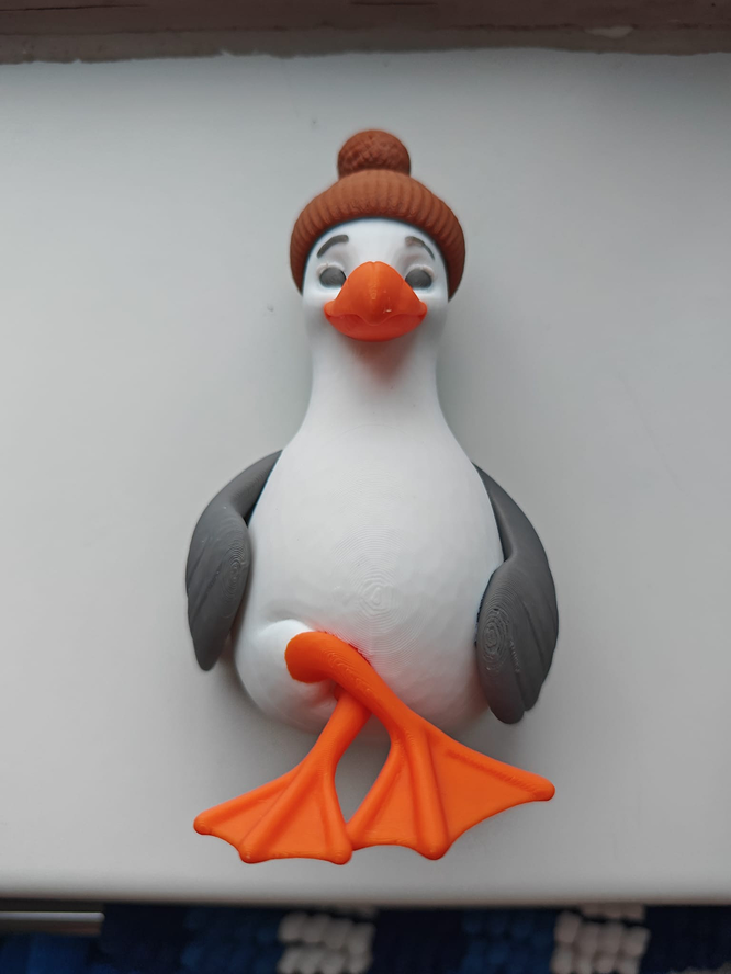Seagull
